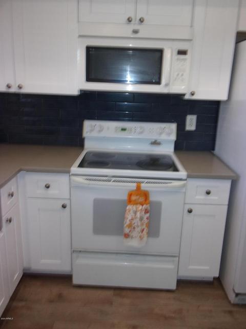 1009 E Lodge Dr, Tempe, AZ 85283 photo 7
