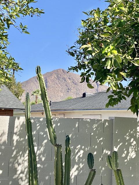 4826 E Pinchot Ave, Phoenix, AZ 85018 photo 28