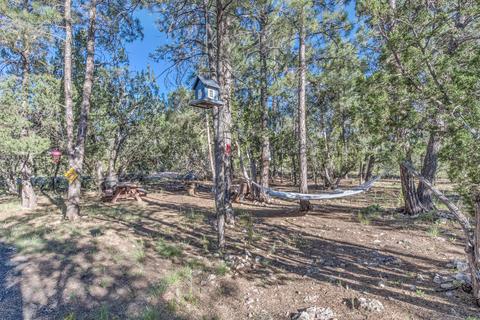 2940 Buckskin Rd, Overgaard, AZ 85933 photo 8