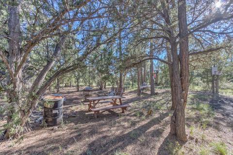 2940 Buckskin Rd, Overgaard, AZ 85933 photo 6