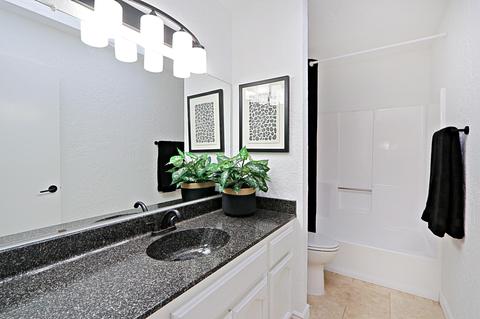 632 E State Ave, Phoenix, AZ 85020 photo 16