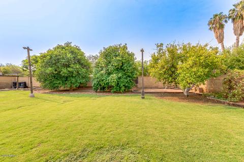 39 E Palo Verde St, Gilbert, AZ 85296 photo 46