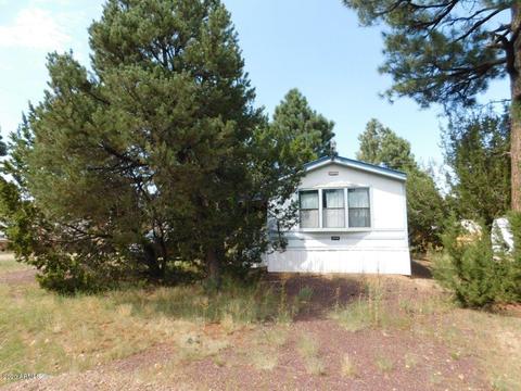 2068 Thousand Pines Dr, Overgaard, AZ 85933 photo 2