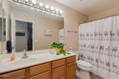 3907 S Seton Ave, Gilbert, AZ 85297 photo 19