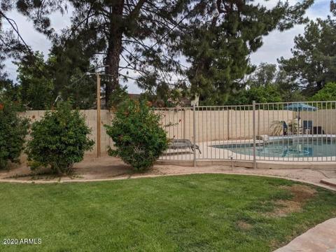 902 Encinas Ave, Gilbert, AZ 85234 photo 29