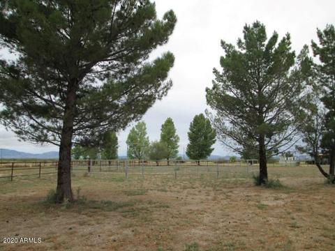 3645 E Robbs Rd, Willcox, AZ 85643 photo 68