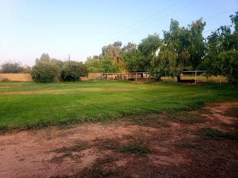 4260 E Stottler Dr, Gilbert, AZ 85296 photo 59