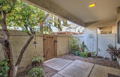 4150 E Cactus Rd #101, Phoenix, AZ 85032 photo 4