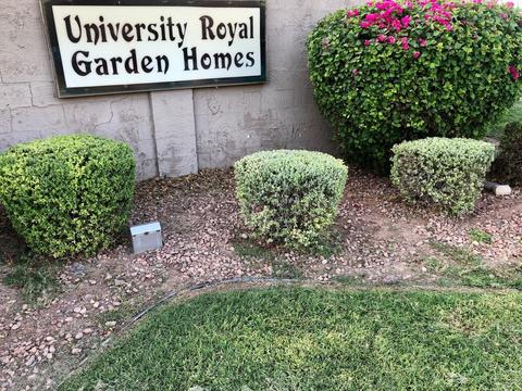 604 E Colgate Dr, Tempe, AZ 85283 photo 21