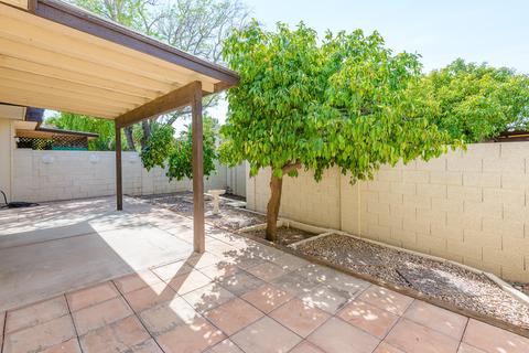 2539 E Wagoner Rd, Phoenix, AZ 85032 photo 23