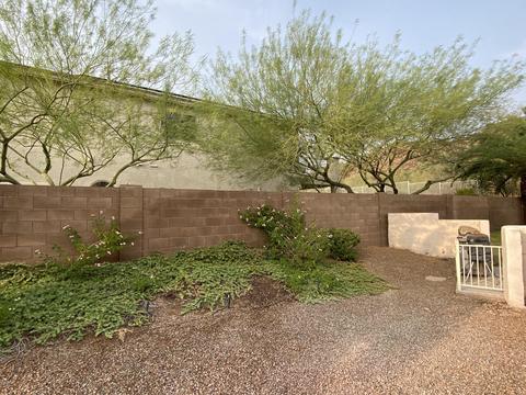 9436 E Mallory St, Mesa, AZ 85207 photo 46