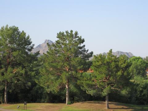 4303 E Cactus Rd #338, Phoenix, AZ 85032 photo 25