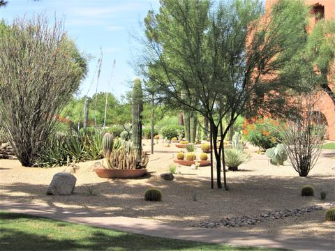 4303 E Cactus Rd #338, Phoenix, AZ 85032 photo 39