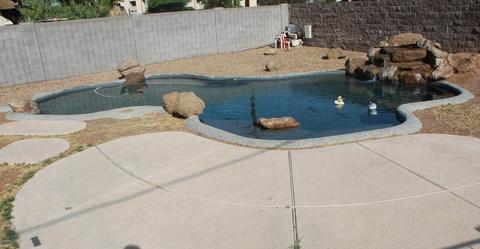 3214 E Hubbell St, Phoenix, AZ 85008 photo 2