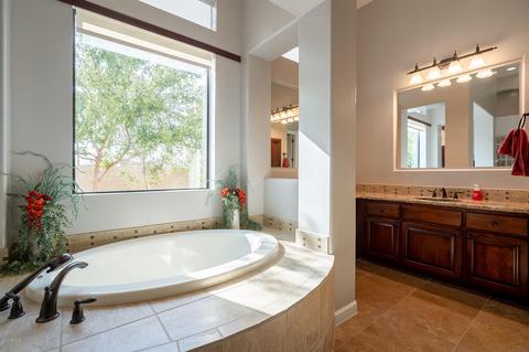 10710 E Gary Ln, Mesa, AZ 85207 photo 20