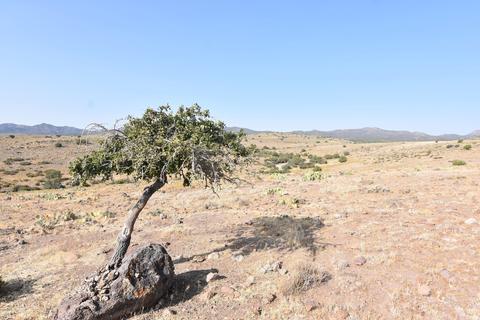 000 Flea Flicker Rd #121, Wikieup, AZ 85360