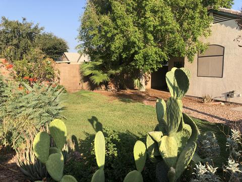 4757 E Desert Wind Dr, Phoenix, AZ 85044 photo 21