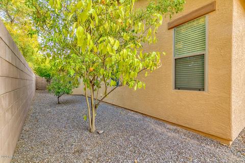 1450 E Strawberry Dr, Gilbert, AZ 85298 photo 44