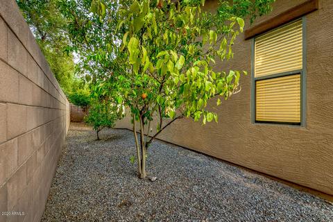 1450 E Strawberry Dr, Gilbert, AZ 85298 photo 37
