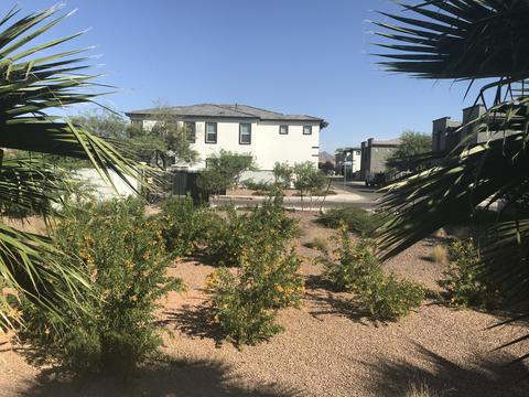 2929 N 37th St #2, Phoenix, AZ 85018 photo 61