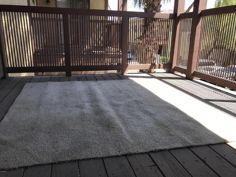 2929 N 37th St #2, Phoenix, AZ 85018 photo 5
