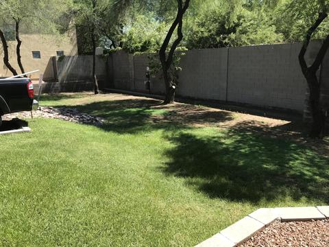 2929 N 37th St #2, Phoenix, AZ 85018 photo 6
