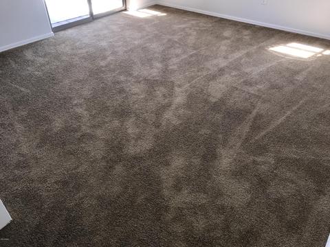 2929 N 37th St #2, Phoenix, AZ 85018 photo 9