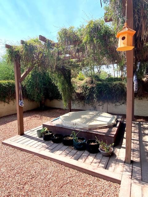 291 E Tremaine Ave, Gilbert, AZ 85234 photo 22