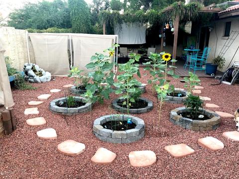 291 E Tremaine Ave, Gilbert, AZ 85234 photo 25