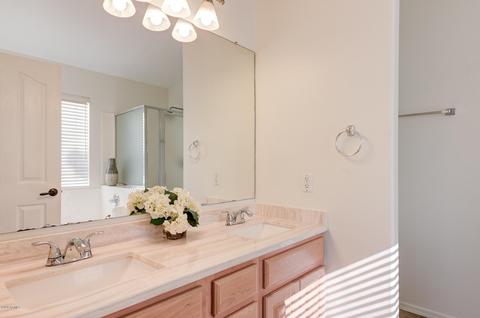559 W Scott Ave, Gilbert, AZ 85233 photo 20
