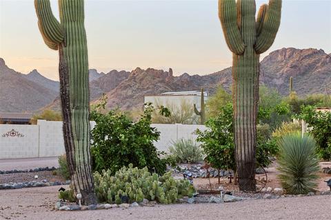 1075 E Canyon St, Apache Junction, AZ 85119 photo 59