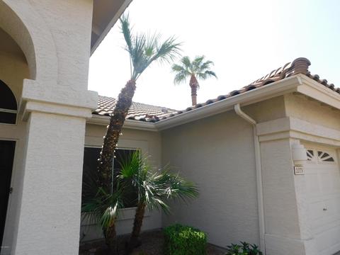 2073 E Dias Dr, Gilbert, AZ 85234 photo 5