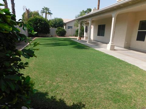 2073 E Dias Dr, Gilbert, AZ 85234 photo 13