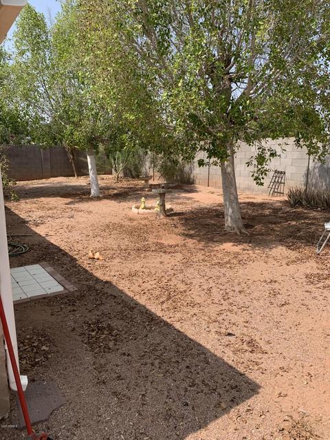 9956 E Quarterline Rd, Mesa, AZ 85207 photo 24