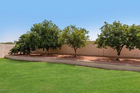 439 E Barbara Dr, Tempe, AZ 85288 photo 37