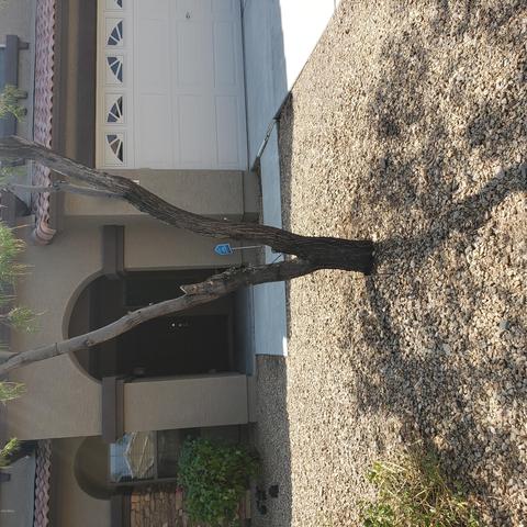 2327 W Dewdrop Trl, Phoenix, AZ 85085 photo 1