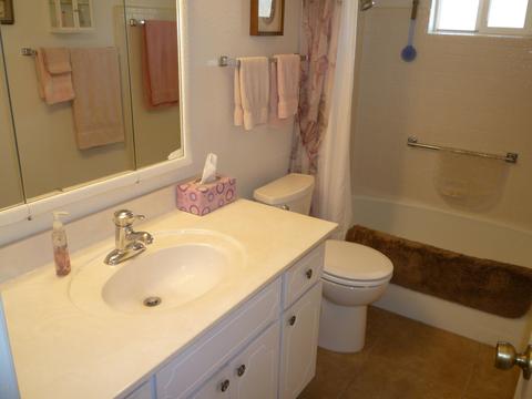 4147 E Carol Ave, Mesa, AZ 85206 photo 25