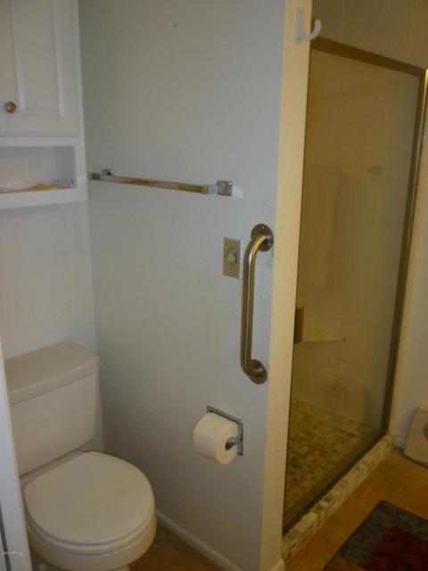 4147 E Carol Ave, Mesa, AZ 85206 photo 19