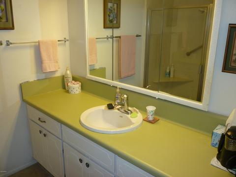 4147 E Carol Ave, Mesa, AZ 85206 photo 21