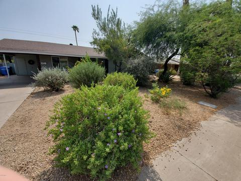 1015 E Cavalier Dr, Phoenix, AZ 85014 photo 5