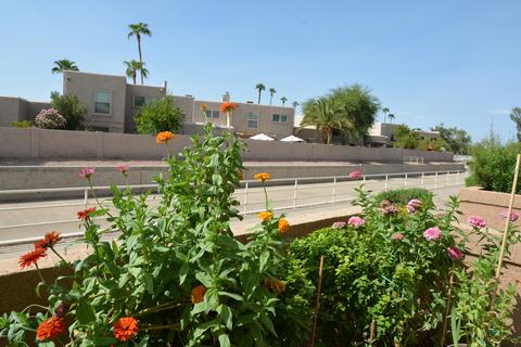 4150 E Cactus Rd #109, Phoenix, AZ 85032 photo 31