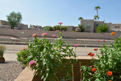 4150 E Cactus Rd #109, Phoenix, AZ 85032 photo 30
