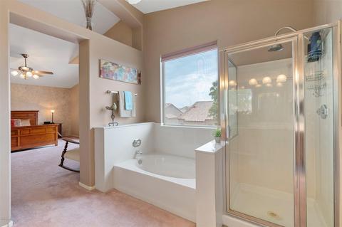 9535 E Irwin Ave, Mesa, AZ 85209 photo 23