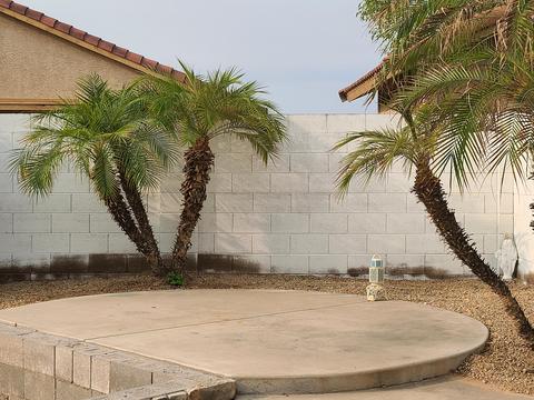 1210 E Rosemonte Dr, Phoenix, AZ 85024 photo 17