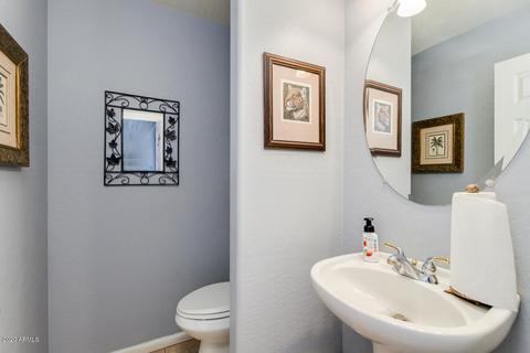 10708 E Lobo Ave, Mesa, AZ 85209 photo 21
