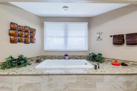 11123 E Cholla Rd, Mesa, AZ 85207 photo 16
