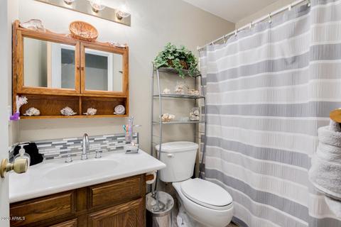 11123 E Cholla Rd, Mesa, AZ 85207 photo 21