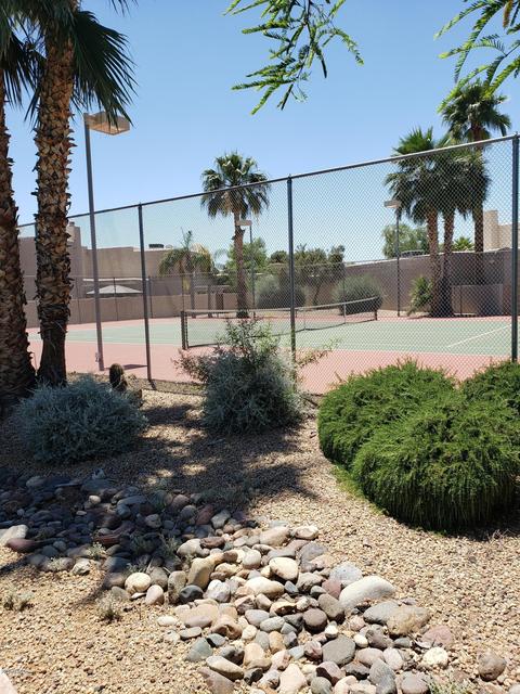 4105 E Bloomfield Rd, Phoenix, AZ 85032 photo 29