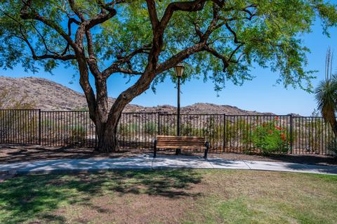 2427 E Desert Willow Dr, Phoenix, AZ 85048 photo 49