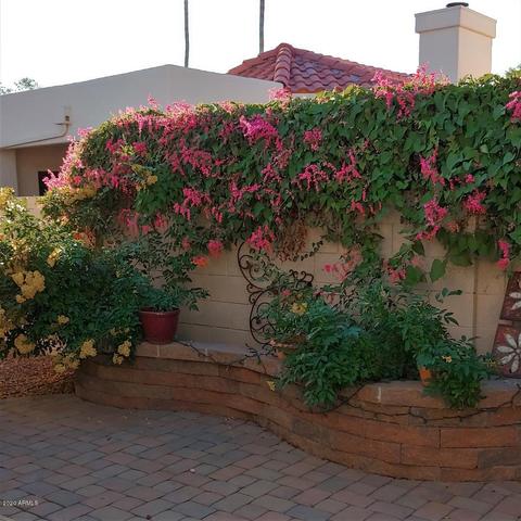 2175 E Bishop Dr, Tempe, AZ 85282 photo 1